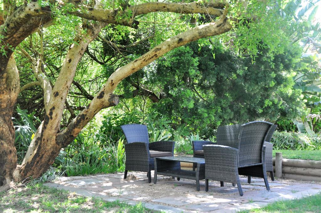 Umlambo River Lodge Kirkwood Exteriör bild