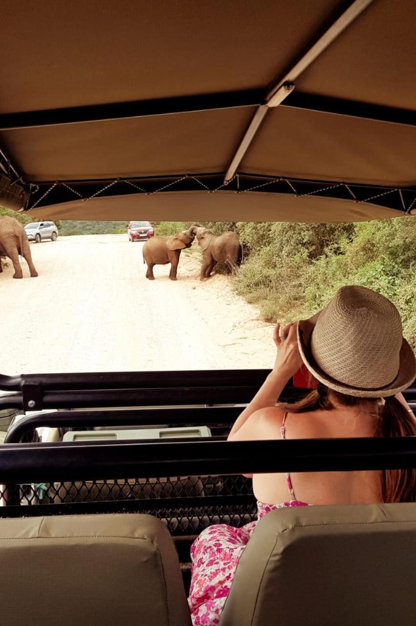 Umlambo River Lodge Kirkwood Exteriör bild
