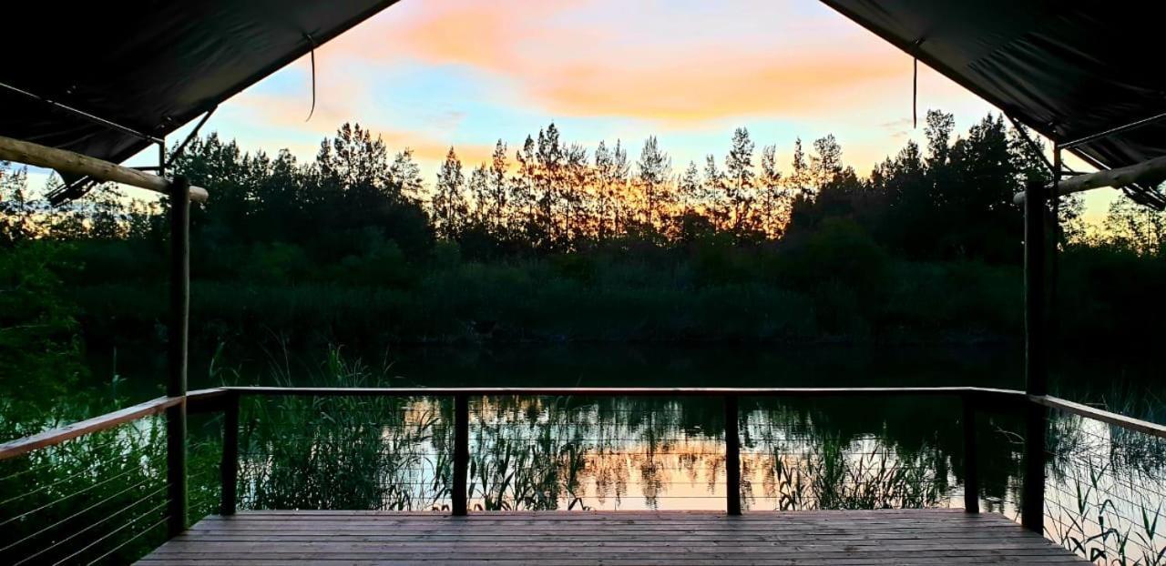 Umlambo River Lodge Kirkwood Exteriör bild